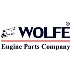 PISTON    Ø64.50 mm Z402